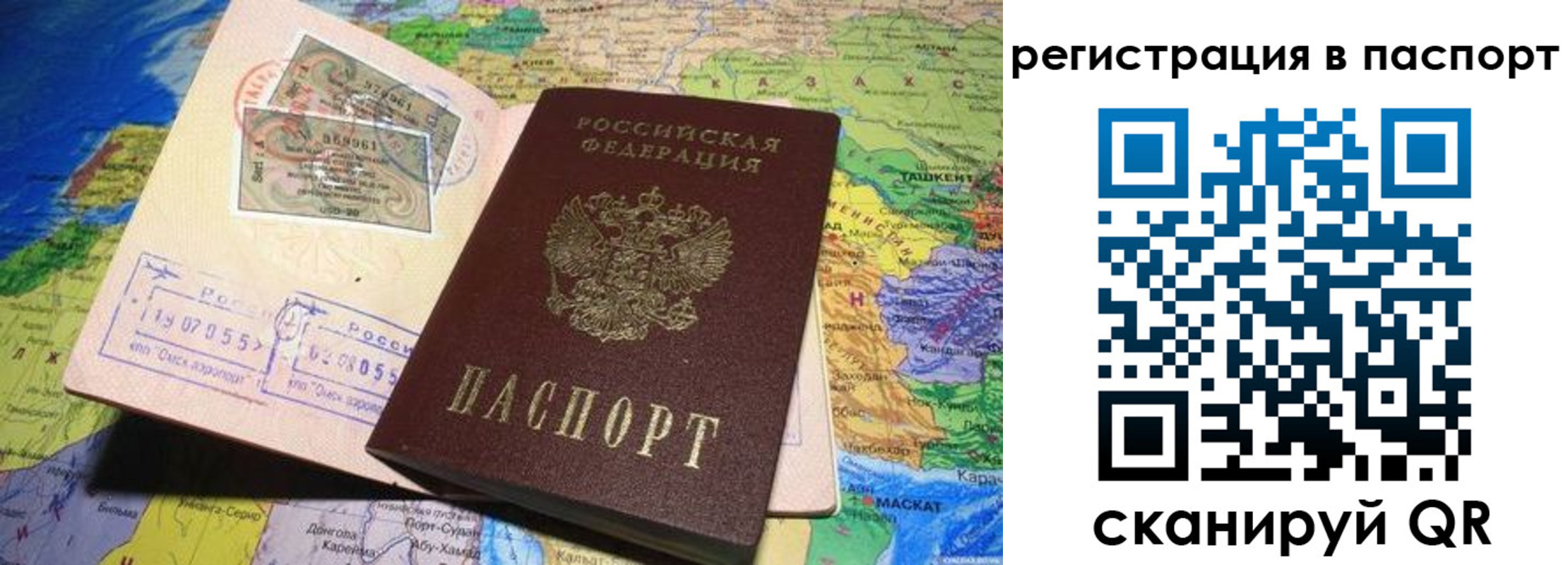 прописка гарантия в Ельне