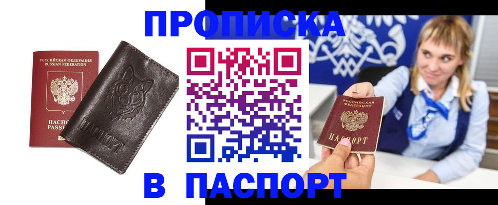 где прописаться в Ельне